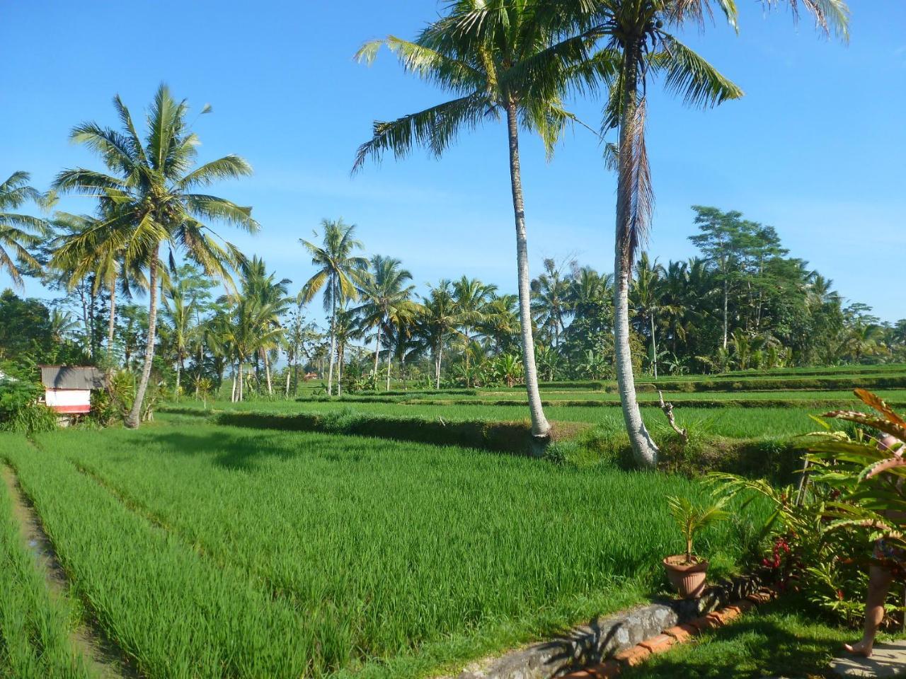 乌布 Bali Sawah Indah酒店 外观 照片