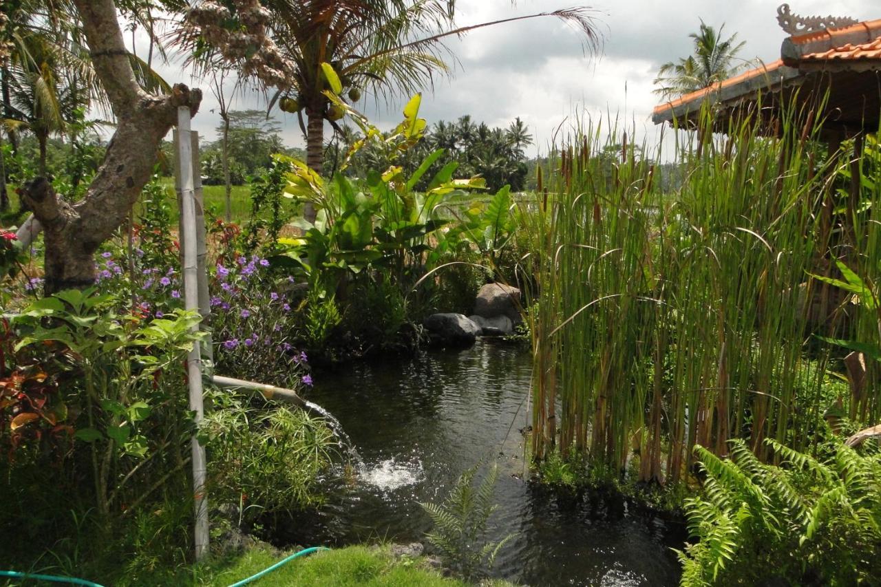 乌布 Bali Sawah Indah酒店 外观 照片