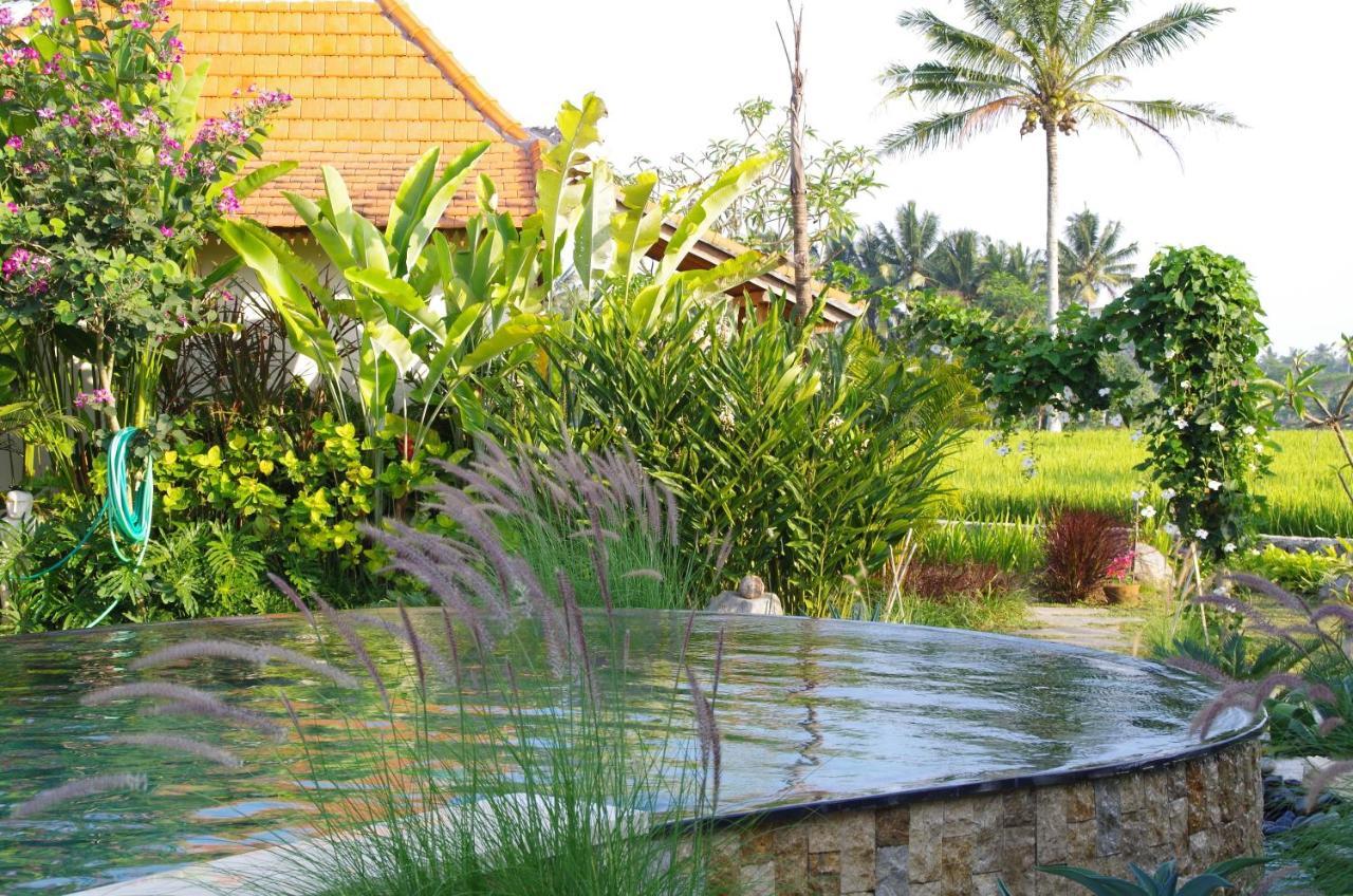 乌布 Bali Sawah Indah酒店 外观 照片